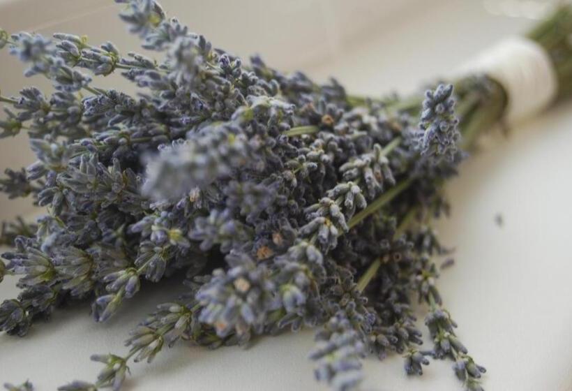 펜션 Penzion Na Rozcestí