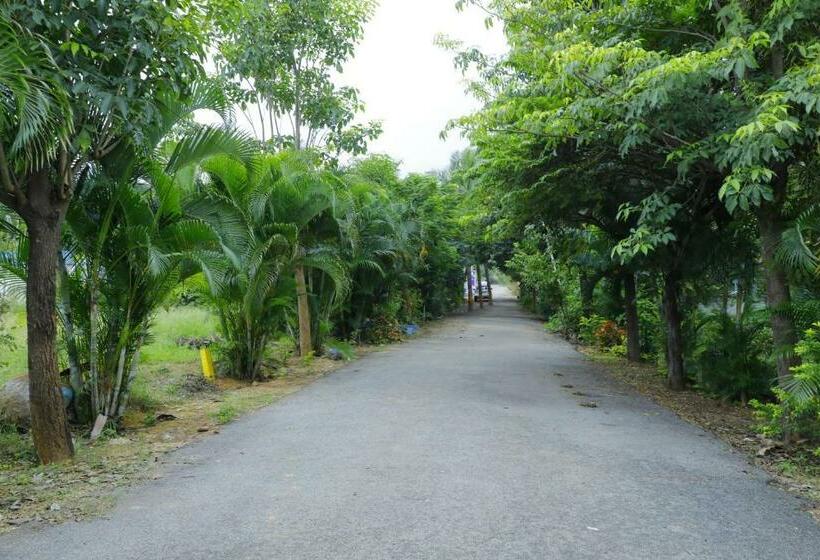 פנסיון Private Room Non Ac At Varun Vihar Near Horsley Hills