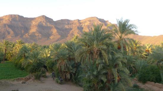 リヤド Kasbah Timidarte