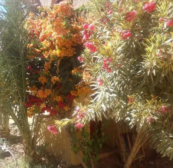 Riad Kasbah Timidarte