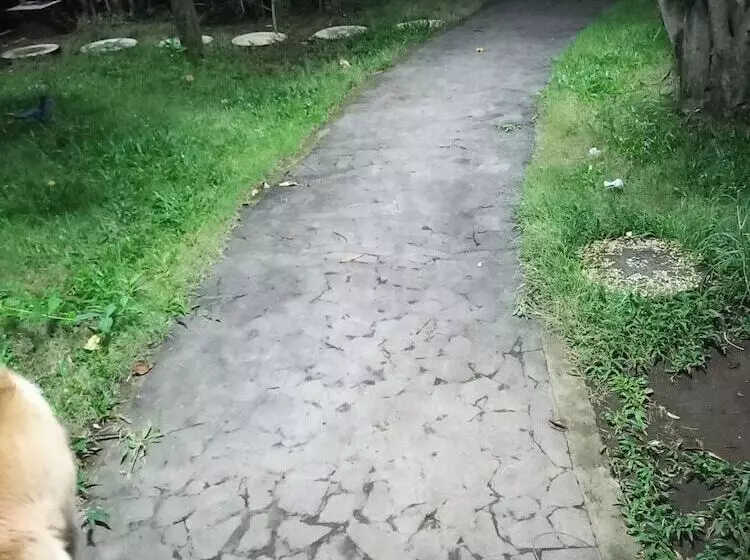 Bali North Beach B&b