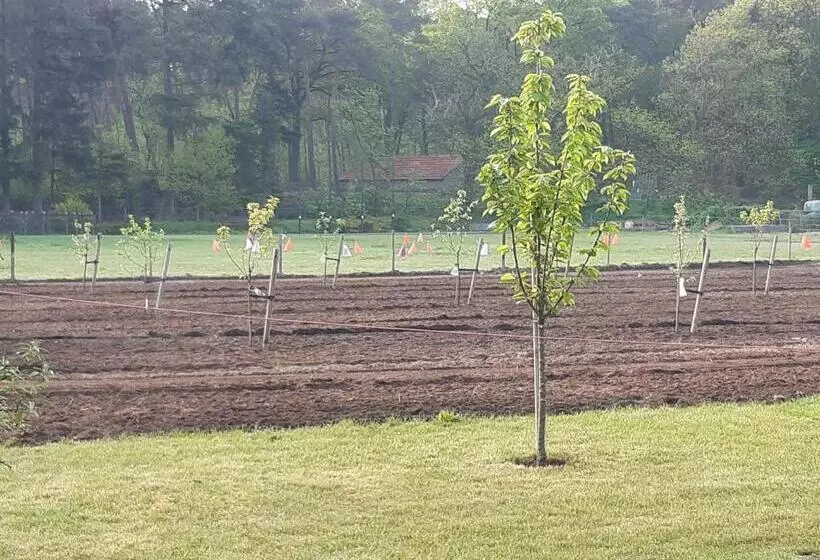 B&b Bourgondisch Lomm