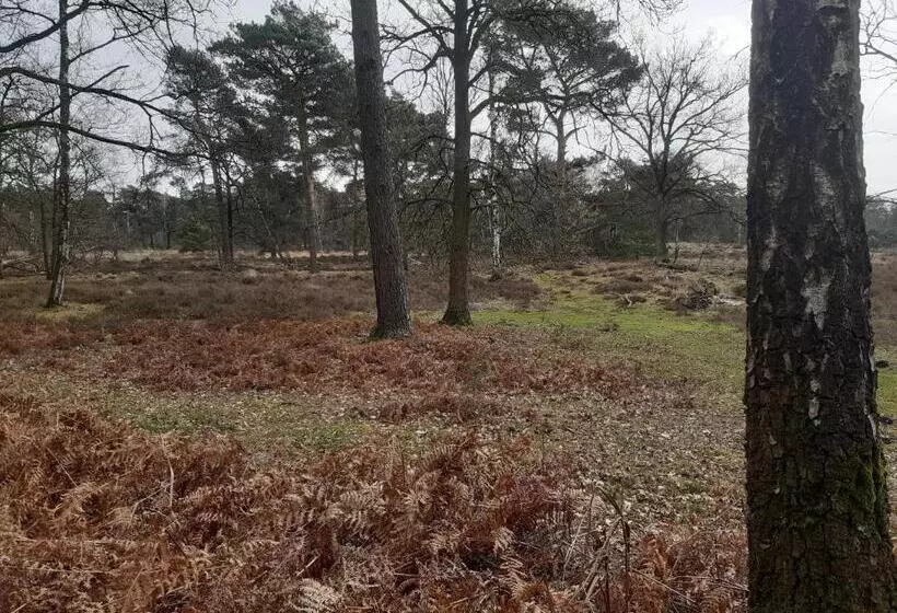 B&b Bourgondisch Lomm