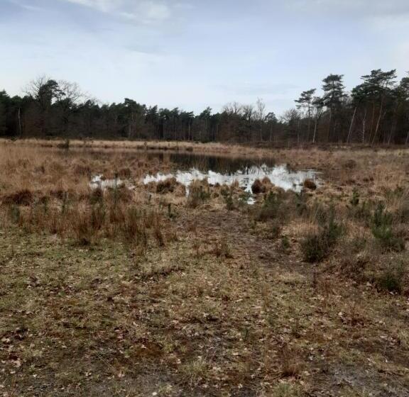 B&b Bourgondisch Lomm