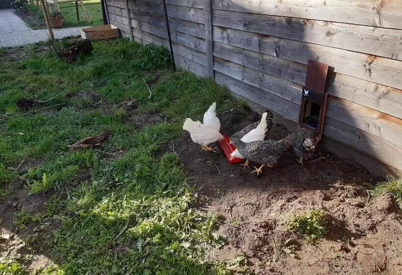 B&b Bourgondisch Lomm