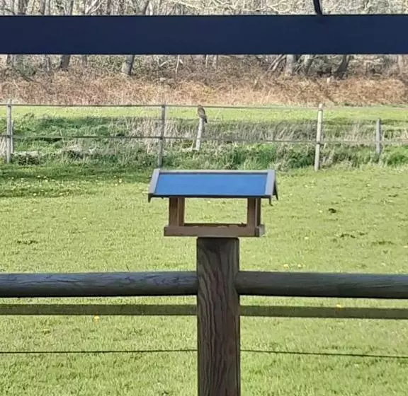 B&b Bourgondisch Lomm