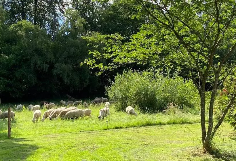 Aamiaismajoitus (B&B) Domaine De Kerdavid   Chambres D Hôtes à Remungol