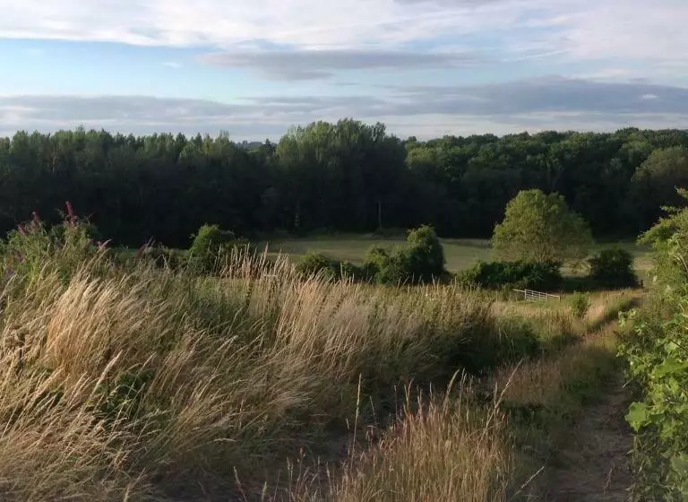 Aamiaismajoitus (B&B) The Old Smithy