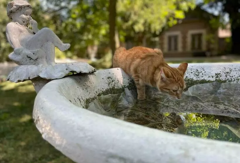 Aamiaismajoitus (B&B) Villa Joséphine