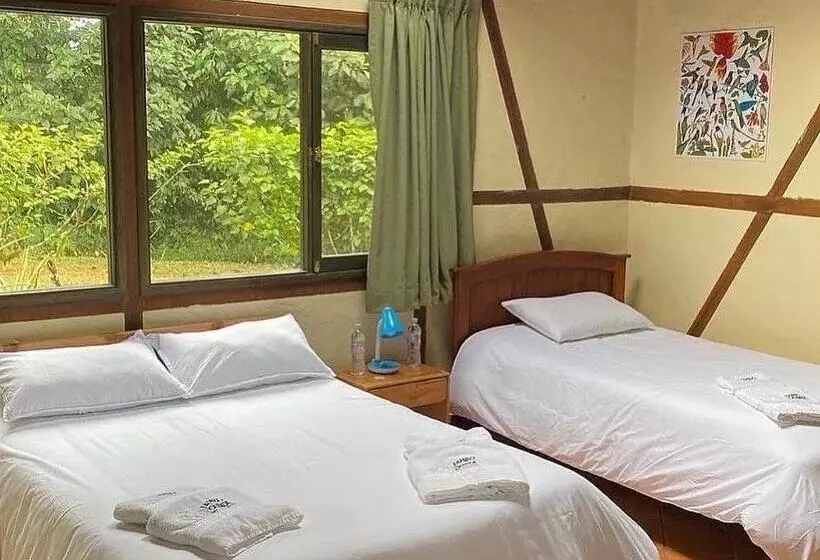 ホテル Tambo Quinde