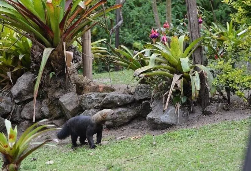 ホテル Tambo Quinde