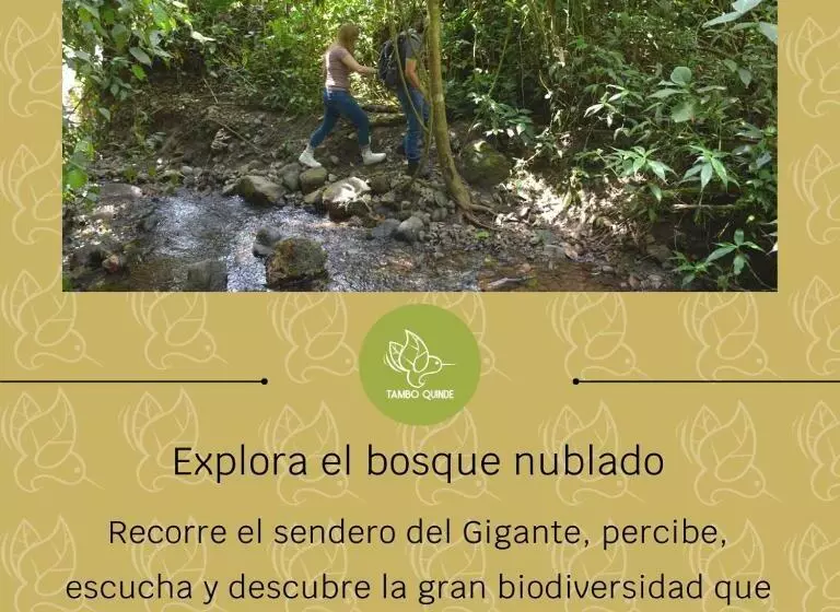 ホテル Tambo Quinde