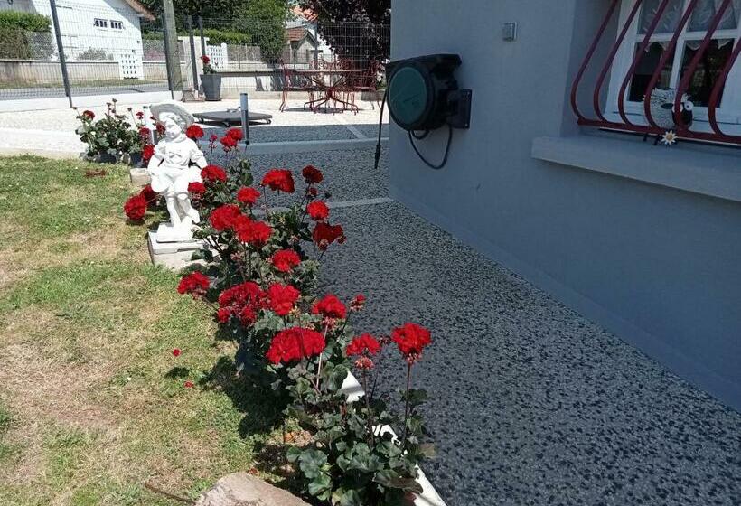 Pansiyon Chambre Privative Avec Salle D Eau