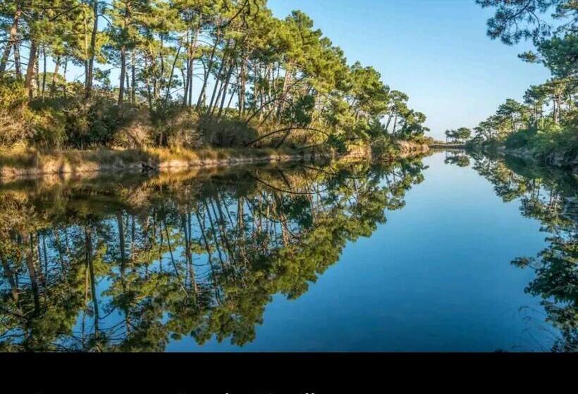 Курорт Mobil Home 6 Personnes Cap Ferret By Vayny