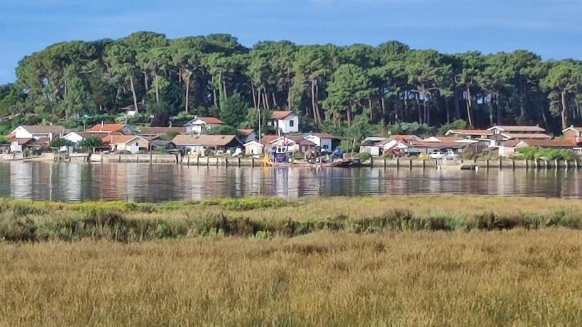 Курорт Mobil Home 6 Personnes Cap Ferret By Vayny