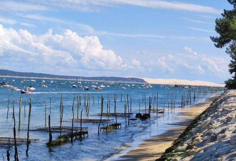 Курорт Mobil Home 6 Personnes Cap Ferret By Vayny