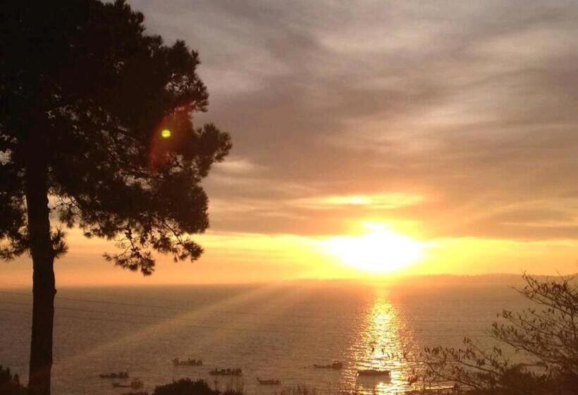 Курорт Mobil Home 6 Personnes Cap Ferret By Vayny