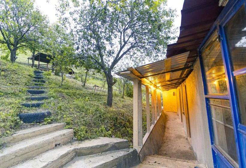 住宿加早餐  Kamis Guesthouse