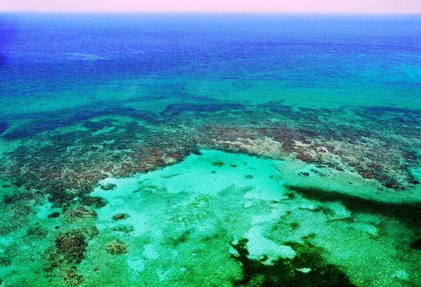 فندق Almaplena Boutique