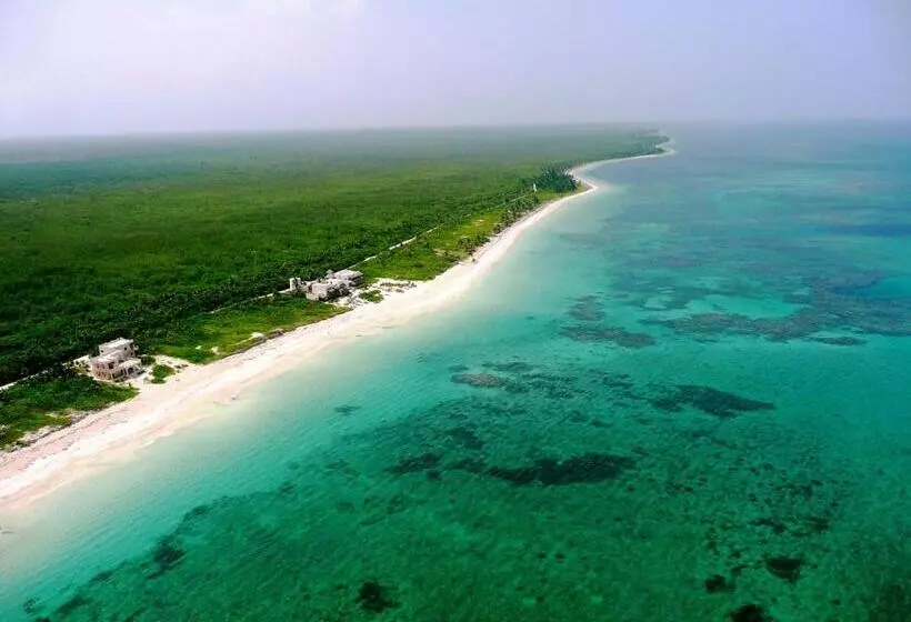 호텔 Almaplena Boutique