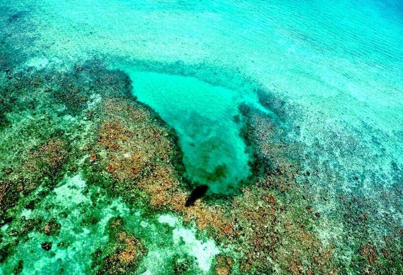 فندق Almaplena Boutique