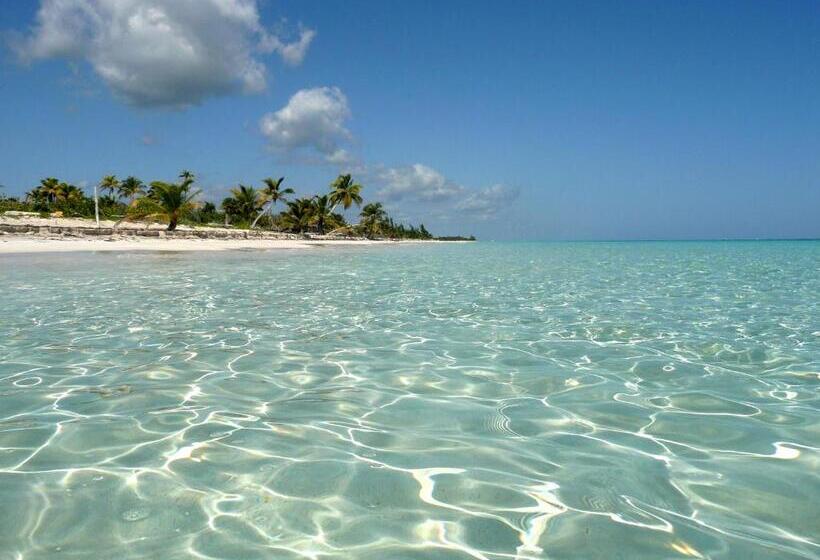 فندق Almaplena Boutique