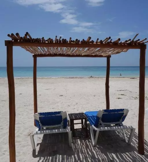 호텔 Almaplena Boutique