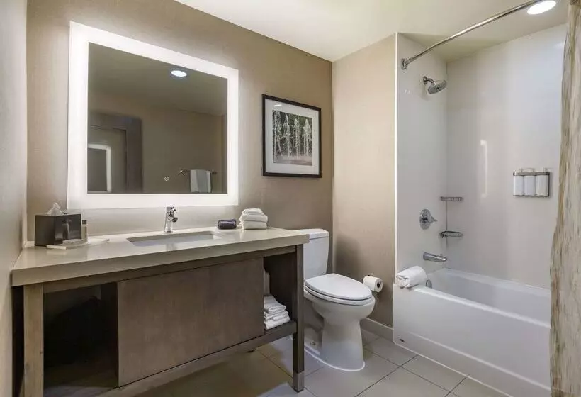 Cambria Hotel Rockville