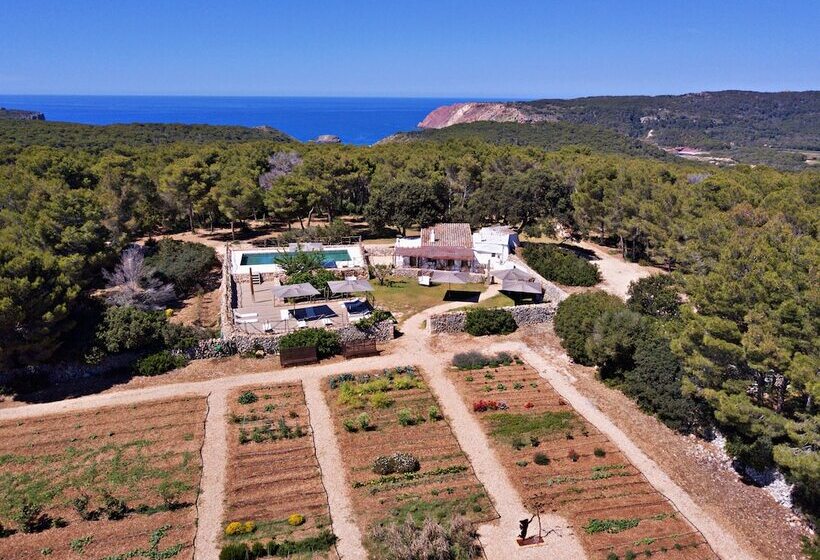 هتل Faustino Gran Relais & Chateaux