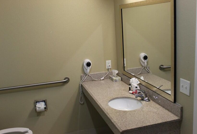 Отель Horizon Inn & Suites Pearsall