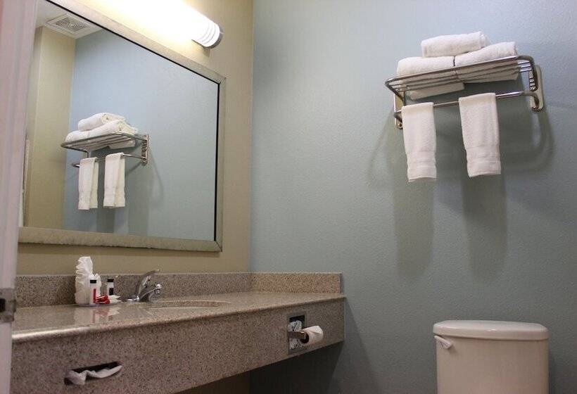 Отель Horizon Inn & Suites Pearsall