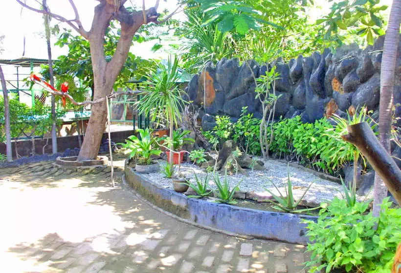 Szálloda Gili Meno Garden Lodge