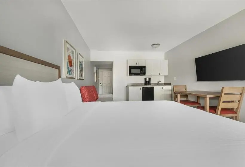 ホテル Hilton Vacation Club Palm Canyon Palm Springs