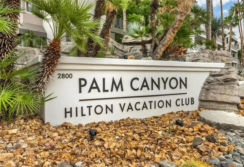 ホテル Hilton Vacation Club Palm Canyon Palm Springs