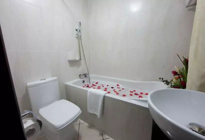 Oak Plaza Hotels East Airport