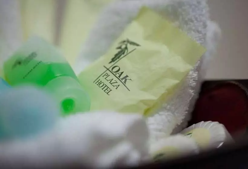 Oak Plaza Hotels East Airport