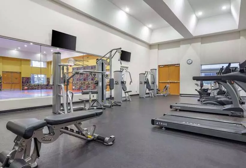 ホテル Hilton Vacation Club Palm Canyon Palm Springs