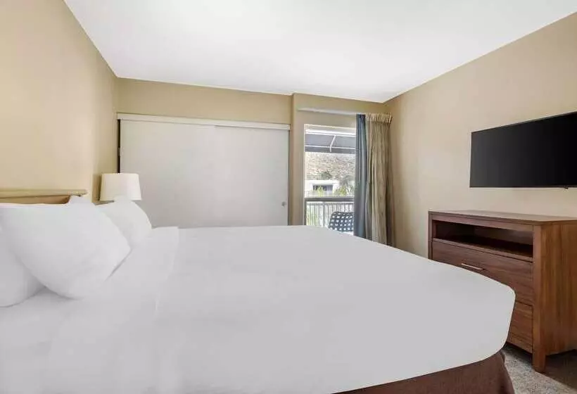 ホテル Hilton Vacation Club Palm Canyon Palm Springs