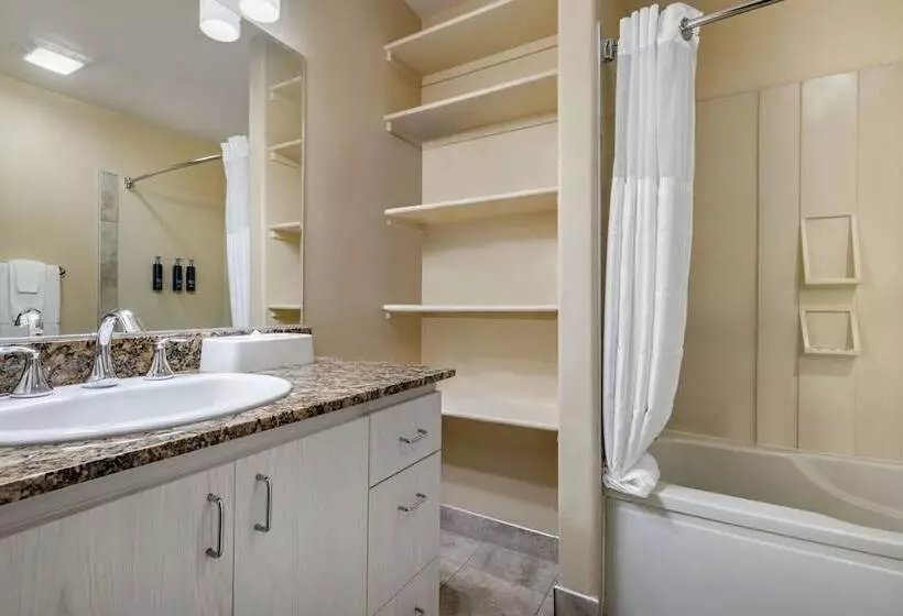 ホテル Hilton Vacation Club Palm Canyon Palm Springs