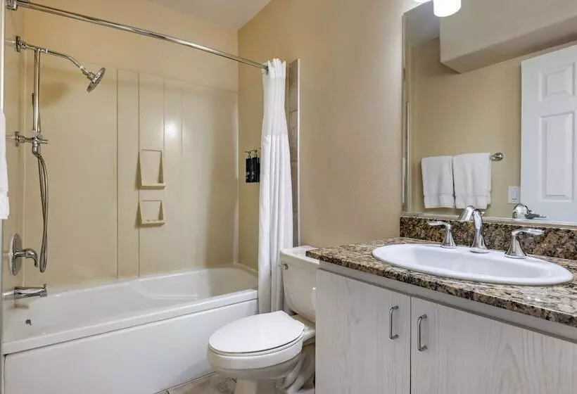 ホテル Hilton Vacation Club Palm Canyon Palm Springs