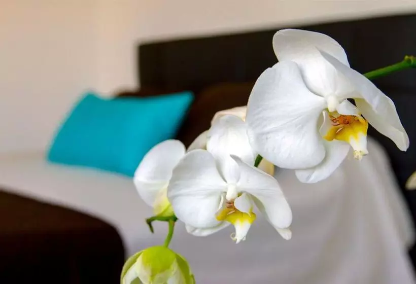 Bleu Mer Duplex Et Suites