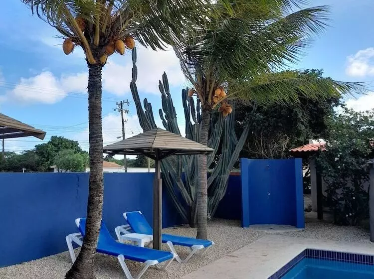 هتل Caribbean Chillout Apartments