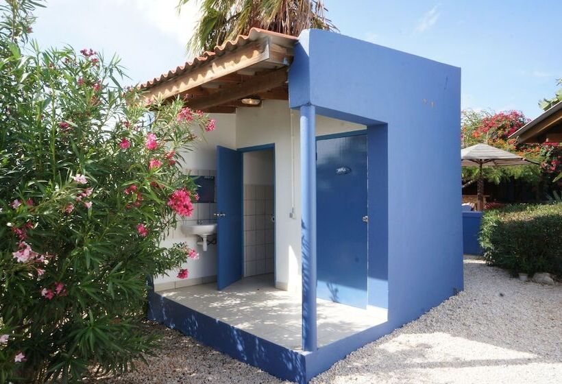 هتل Caribbean Chillout Apartments