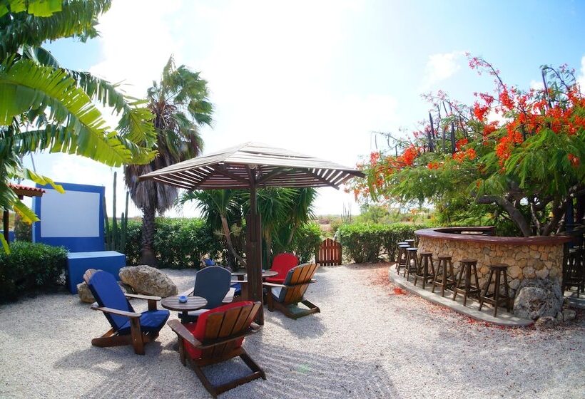 هتل Caribbean Chillout Apartments