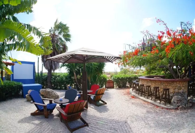 هتل Caribbean Chillout Apartments