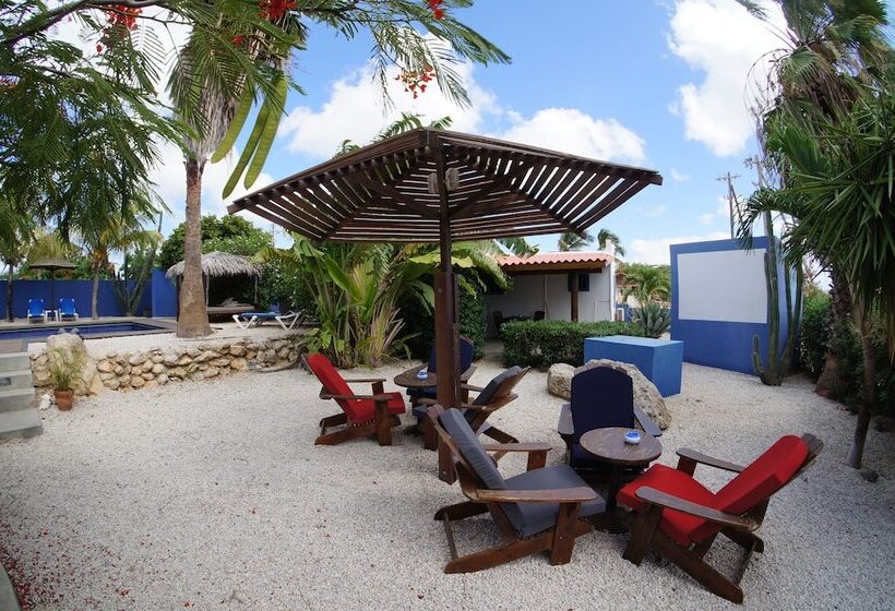هتل Caribbean Chillout Apartments