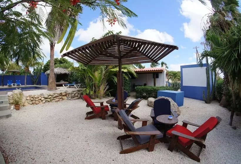 هتل Caribbean Chillout Apartments