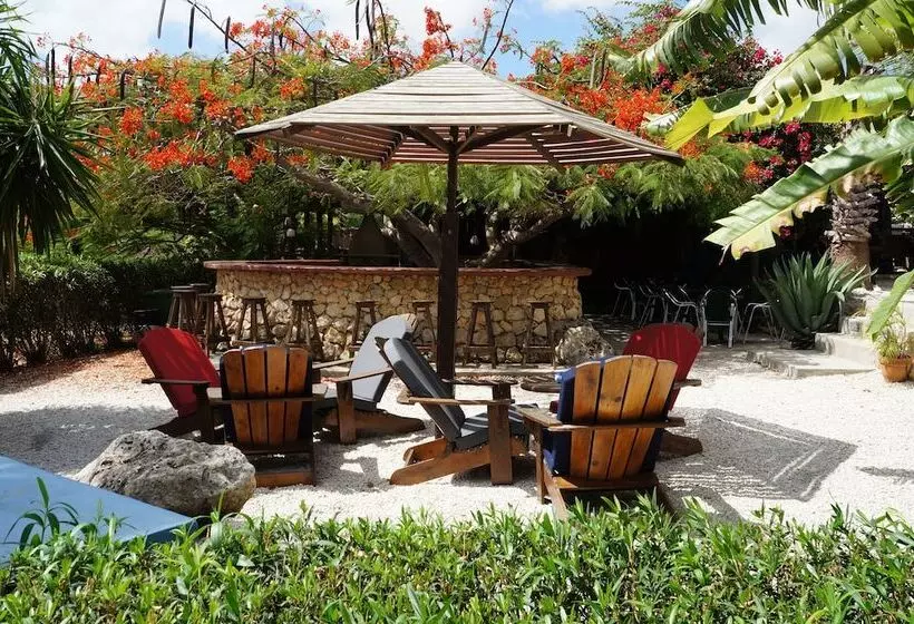 هتل Caribbean Chillout Apartments