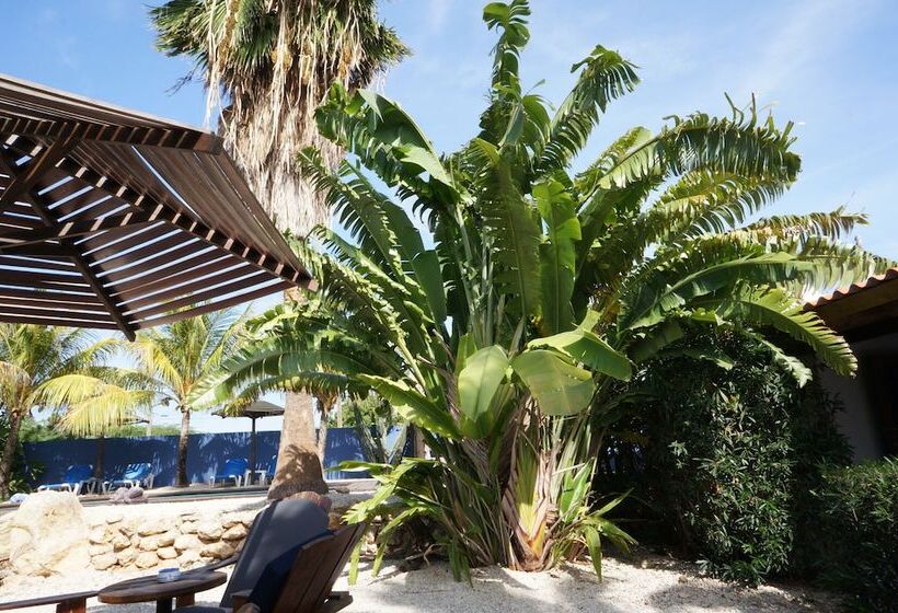 هتل Caribbean Chillout Apartments