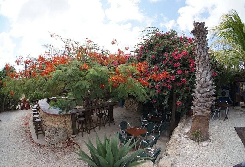 هتل Caribbean Chillout Apartments